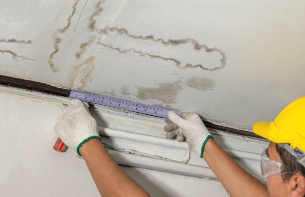 Affordable Water Damage Repair solutions in Crockett, CA